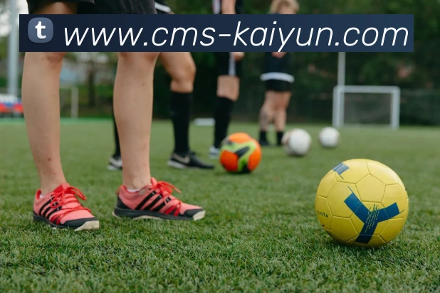 kaiyun平台生态图