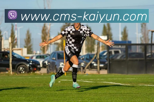 数据防护可视化